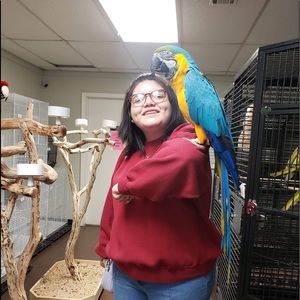 Meet your Posher, Alexa